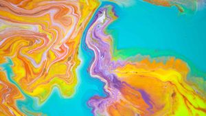 Winklevoss Twins and SEC Drops Case.